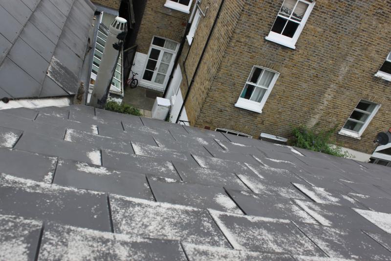 Rear roof - west facing