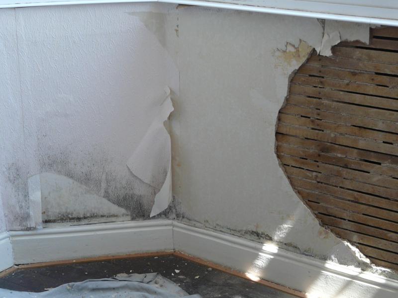 Reason and beginning