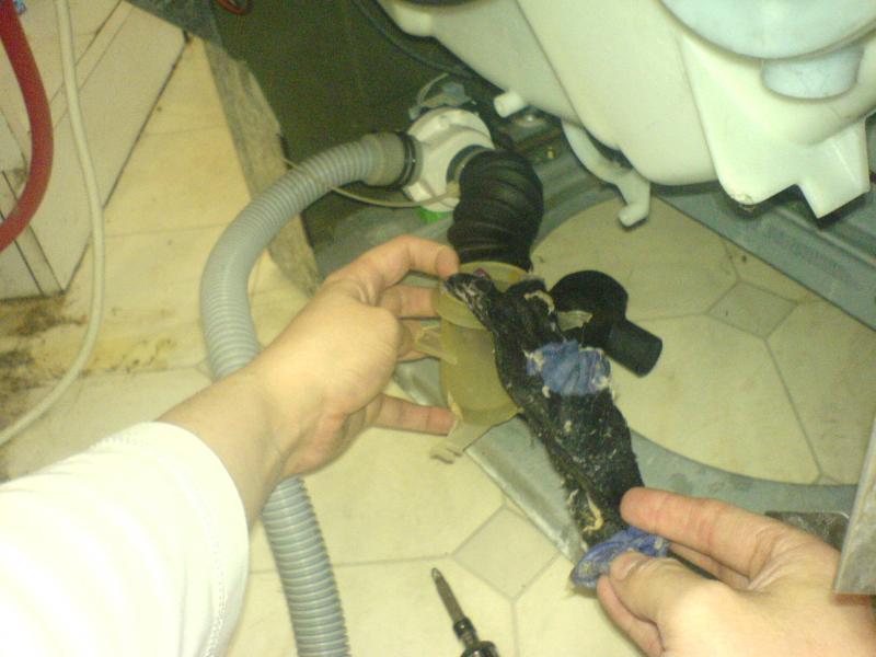 Remove sock from sump
