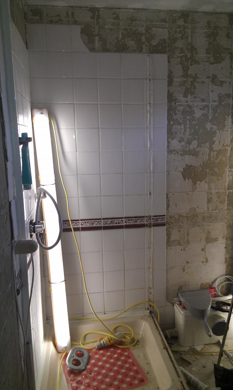 Removing Shower