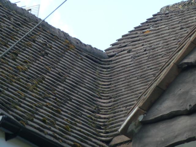 Roof leak 1 - at top of gulley