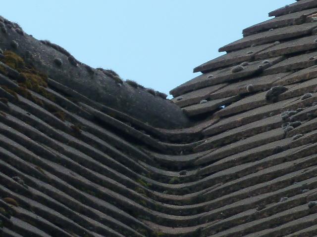 Roof leak 2 at top of gulley