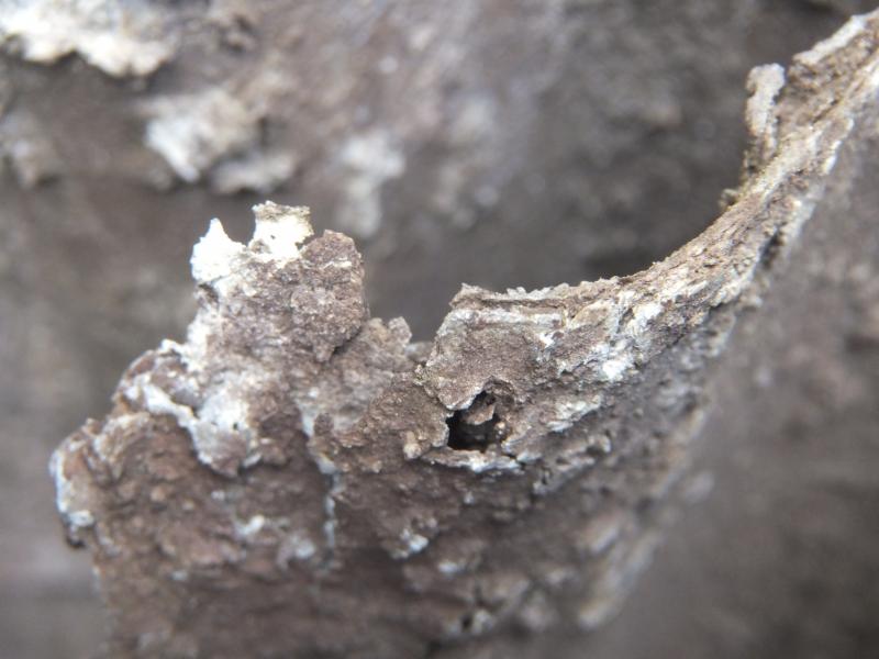 Roof sheet corroded corner