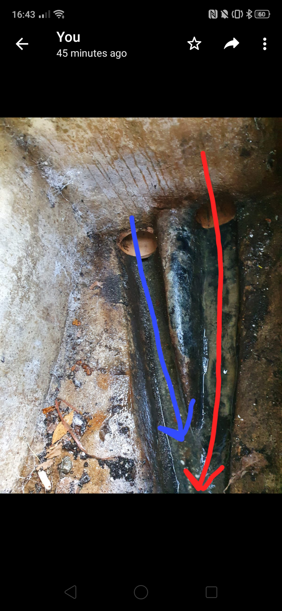 Screenshot_2020-05-16-16-43-44-98