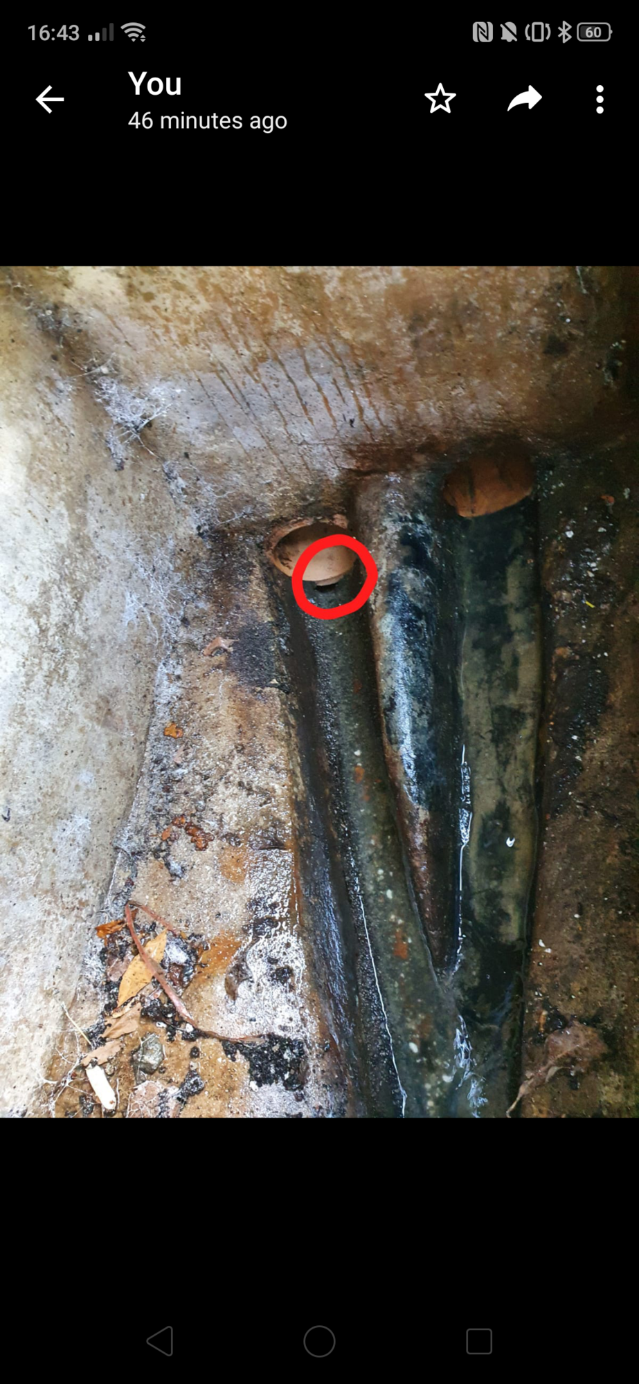 Screenshot_2020-05-16-16-43-51-57