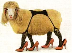 Sheep_stockings_high_20heels