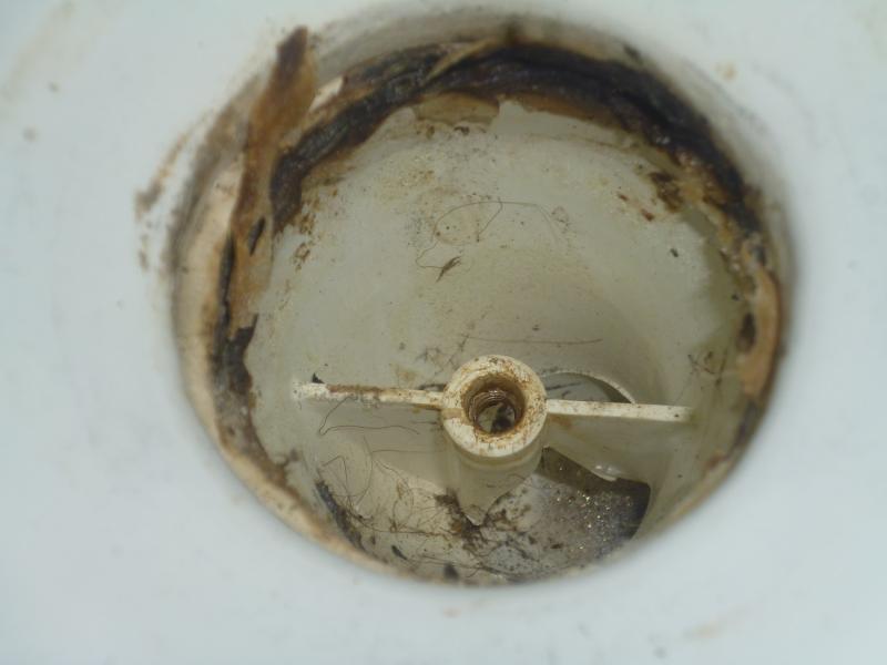 Shower drain uncovered