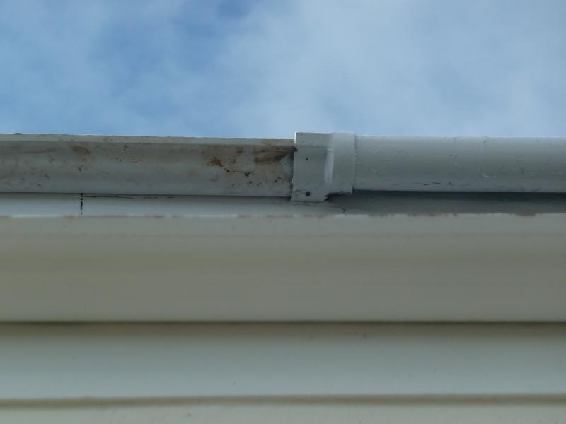 slightly closer shot