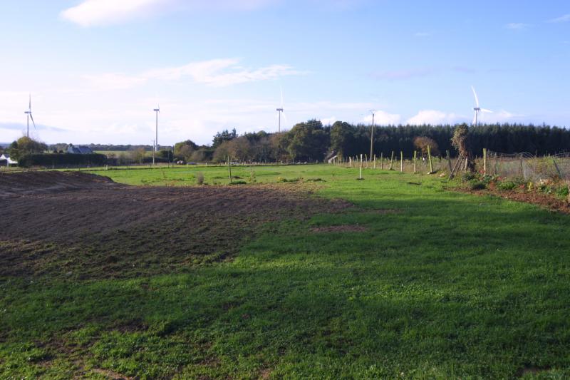 Spoil levelled and seeded