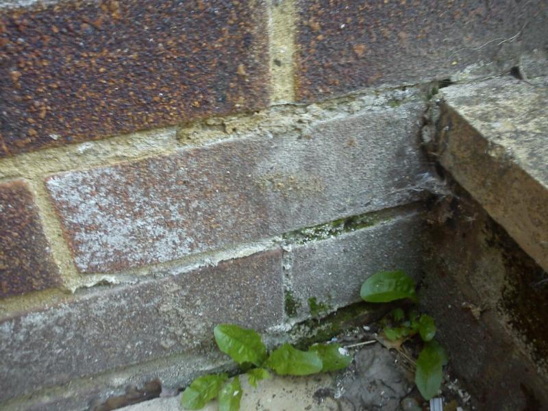 The back of the house