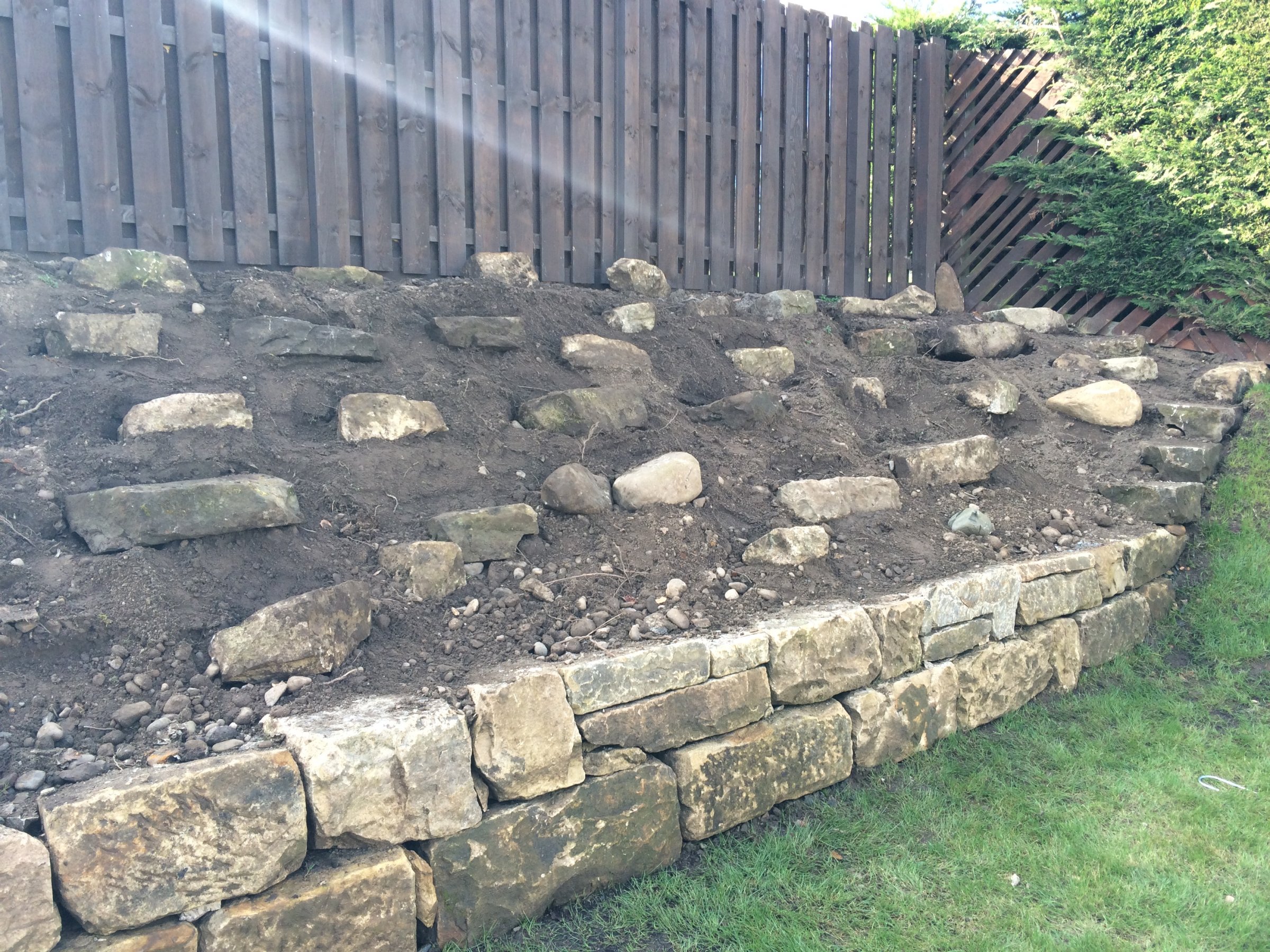 The final part - a rock garden at the back fence