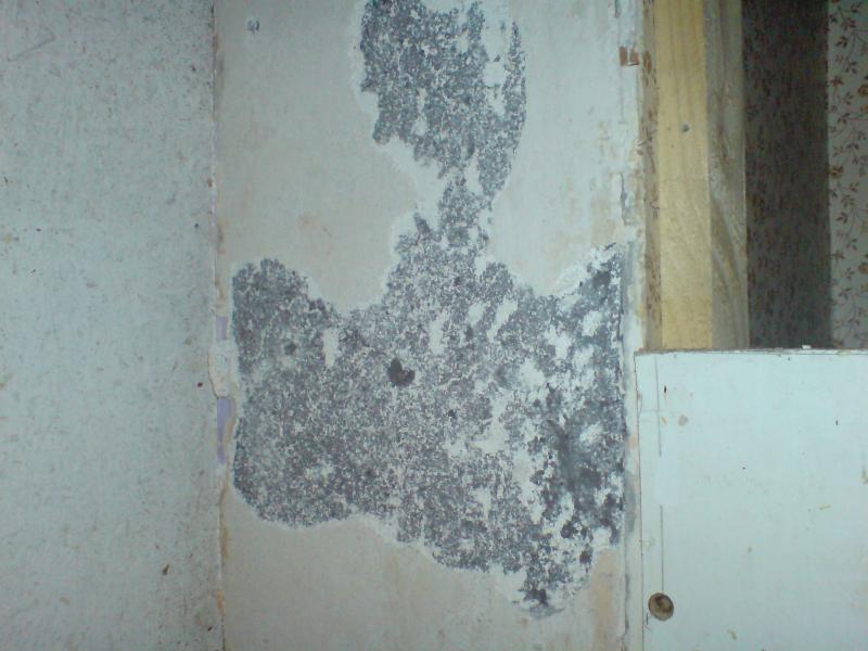 the mystery surface material