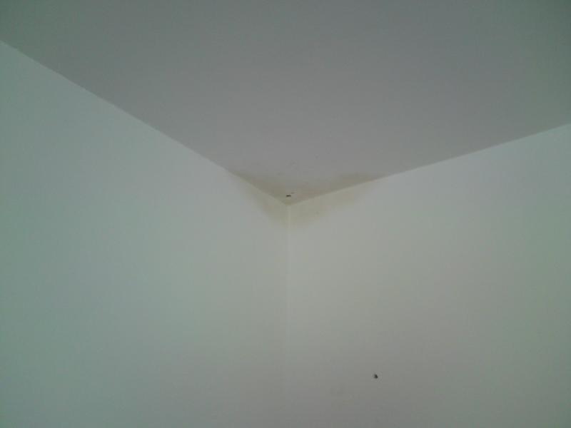 the other problem wall 2