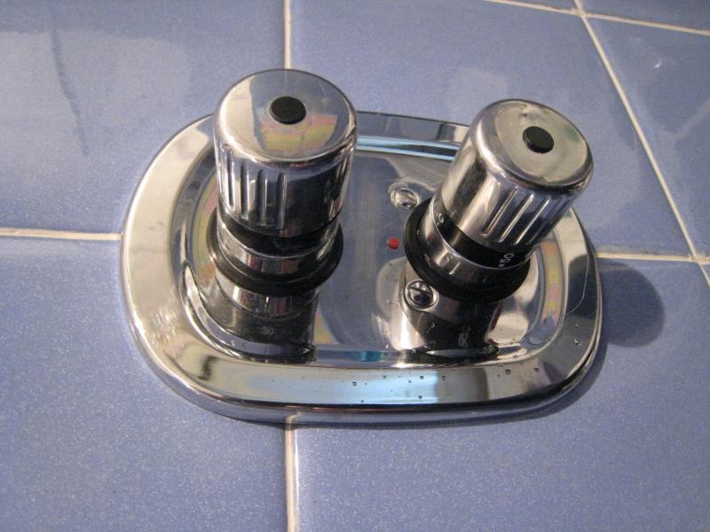 Thermostatic controller and tap