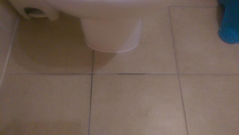 Toilet tile grout is wet