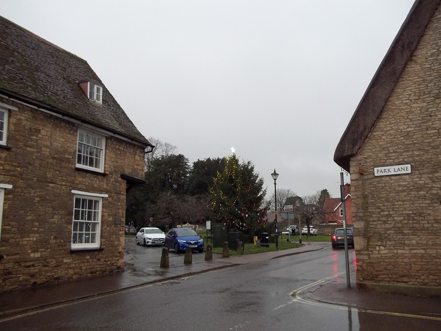 Tree On Green 27-12-2020