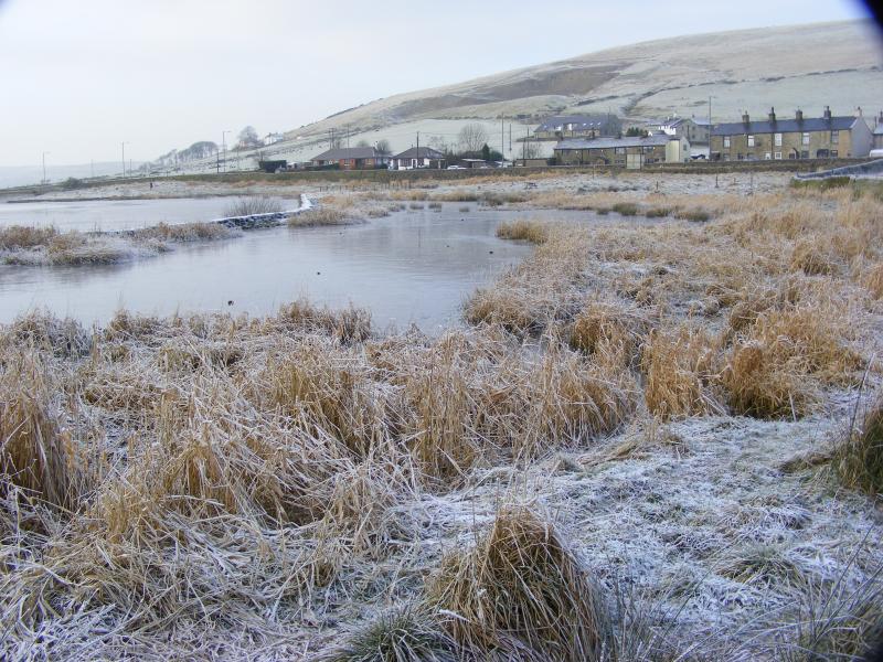 Twas a cold day at the local Res.