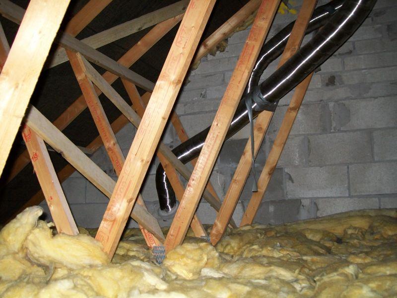 Two flues in attic above flats