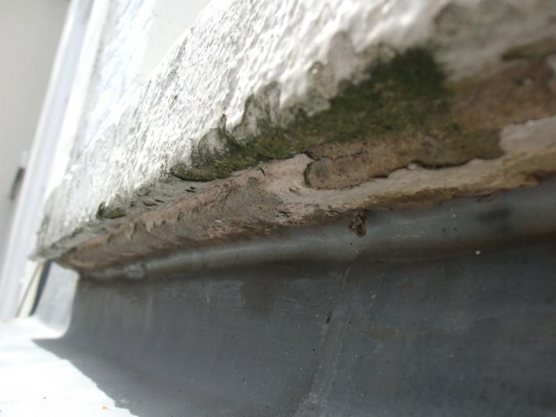Under the Cill - Close Up