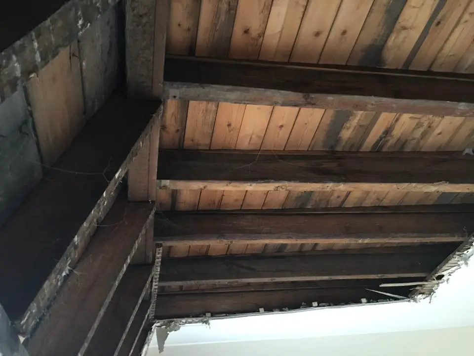 Underside of flat roof