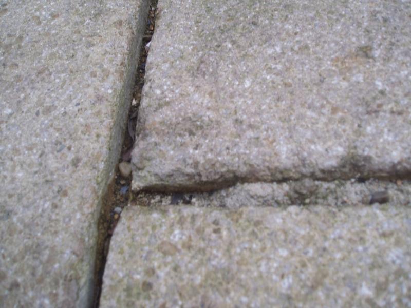 What To Fill Patio Gaps Patio Ideas