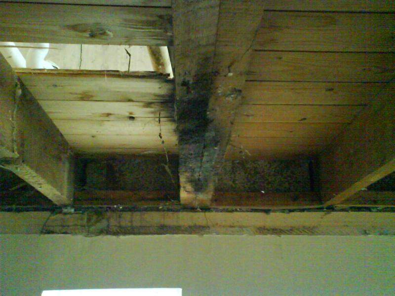 Advice needed Flooded bathroom caused collapsed ceiling DIYnot Forums