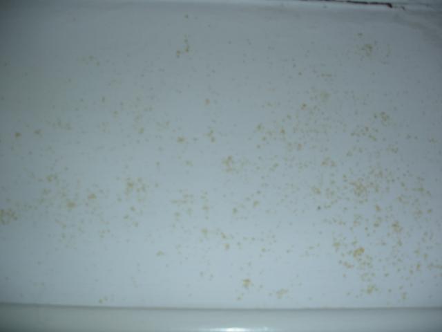 Yellow Spots Diynot Forums - Yellow Substance On Bathroom Walls