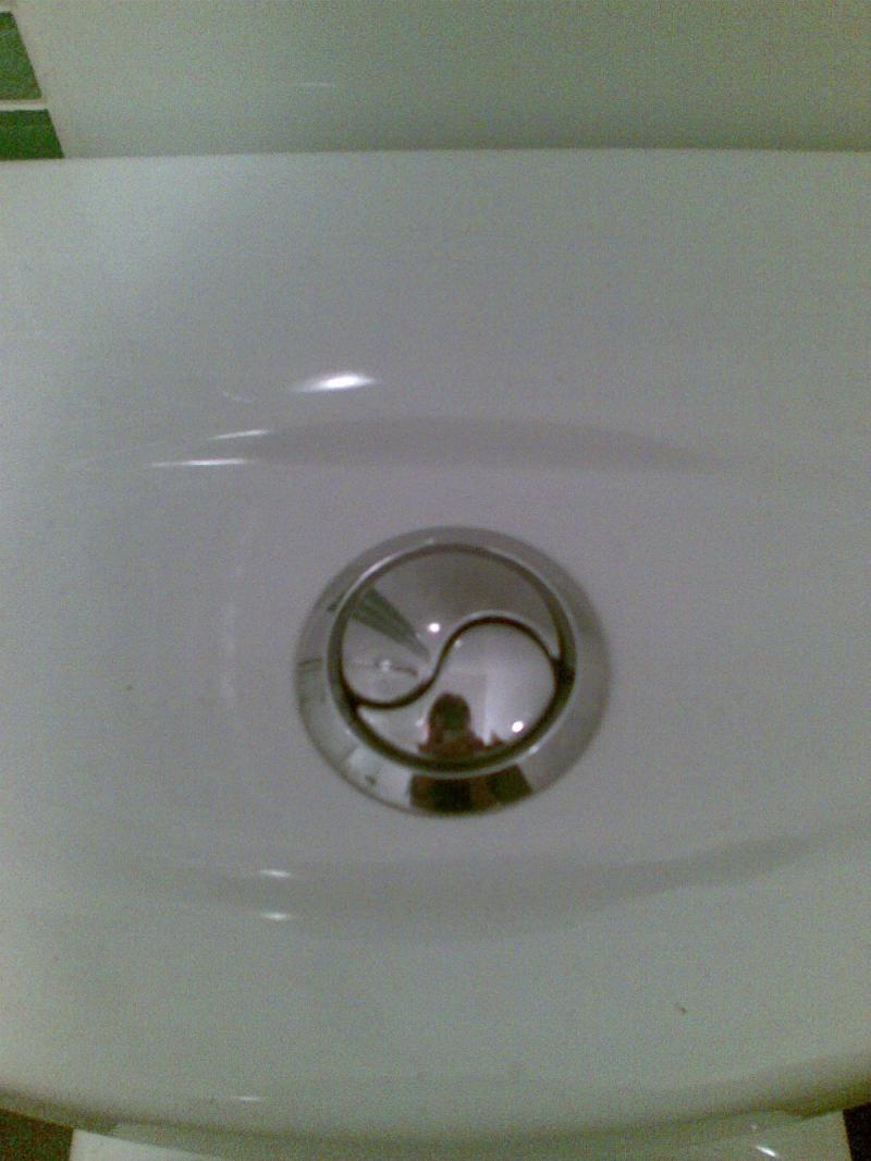 Toilet flapper stays open, why? DIYnot Forums