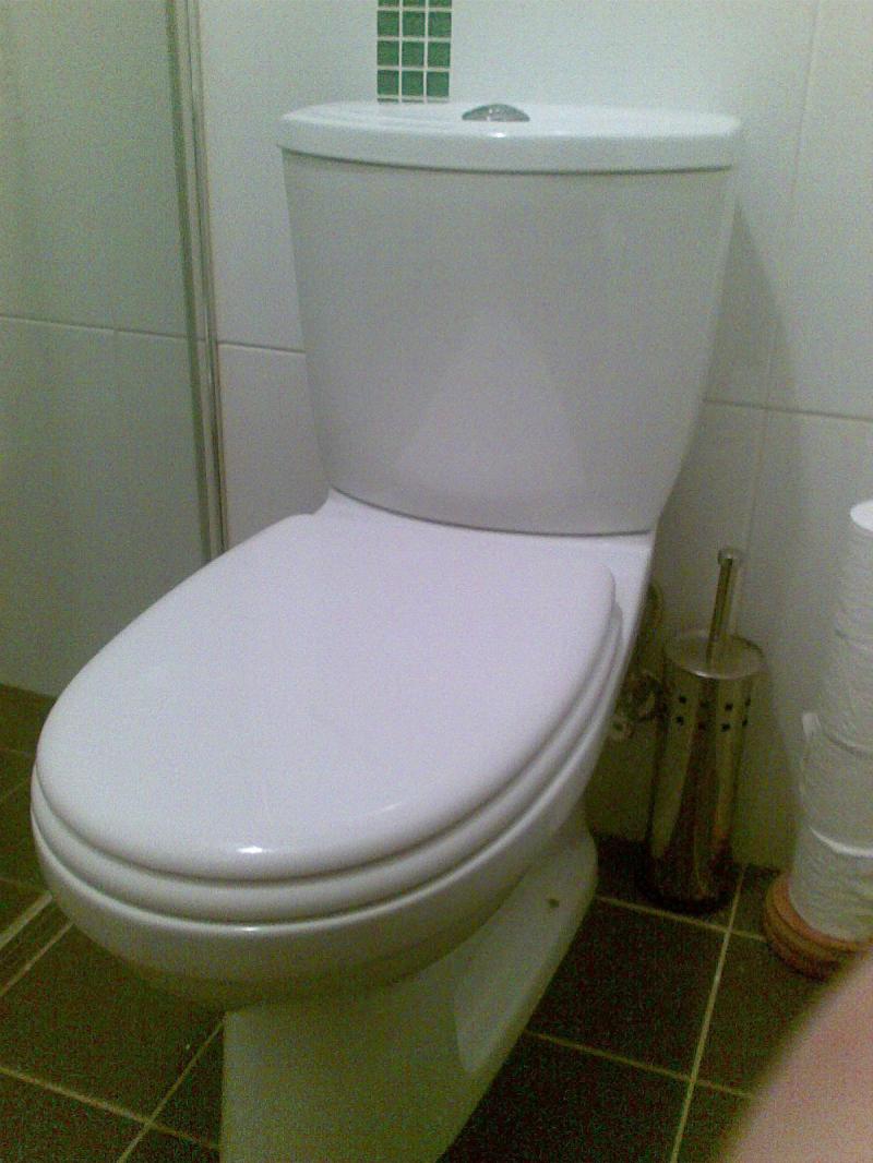 Toilet flapper stays open, why? DIYnot Forums