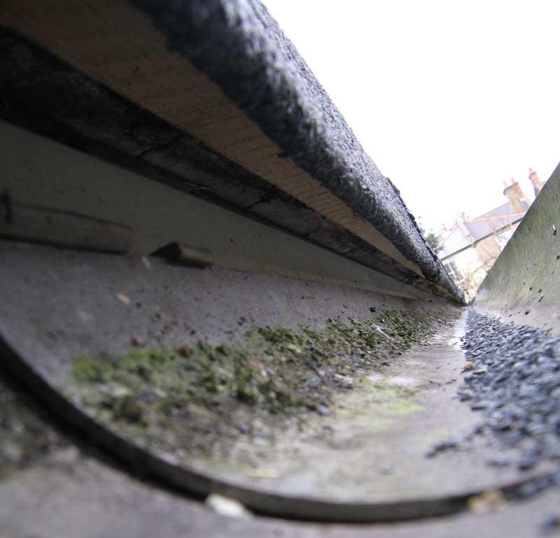 Finishing edge for felt roof timber exposed? DIYnot Forums