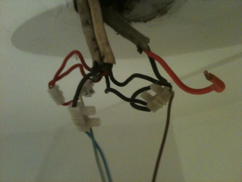 Light fitting Help, is there an extra wire(!)? DIYnot Forums