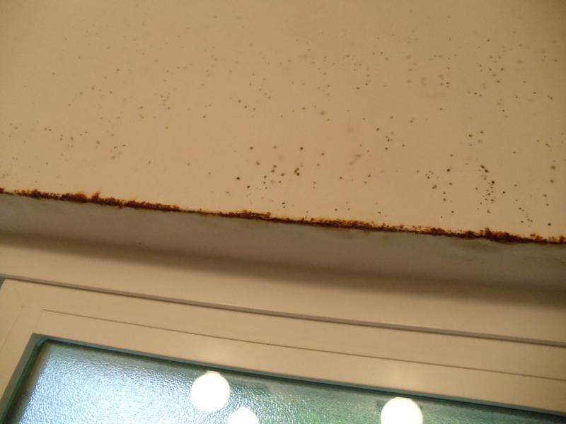 bathroom window bead rusting big job or little job? DIYnot Forums