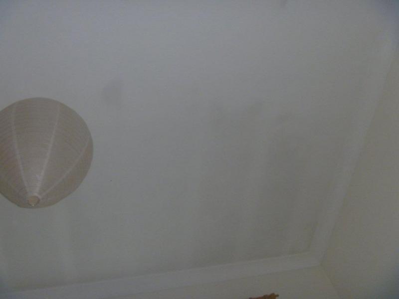 Damp streaks on ceiling below flat roof DIYnot Forums