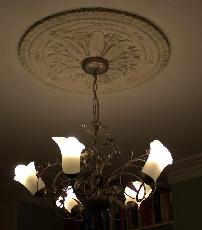 Advice On Ceiling Rose Diynot Forums
