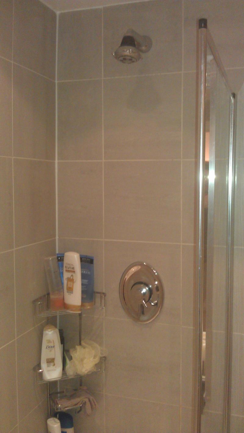 Shower stopped working DIYnot Forums