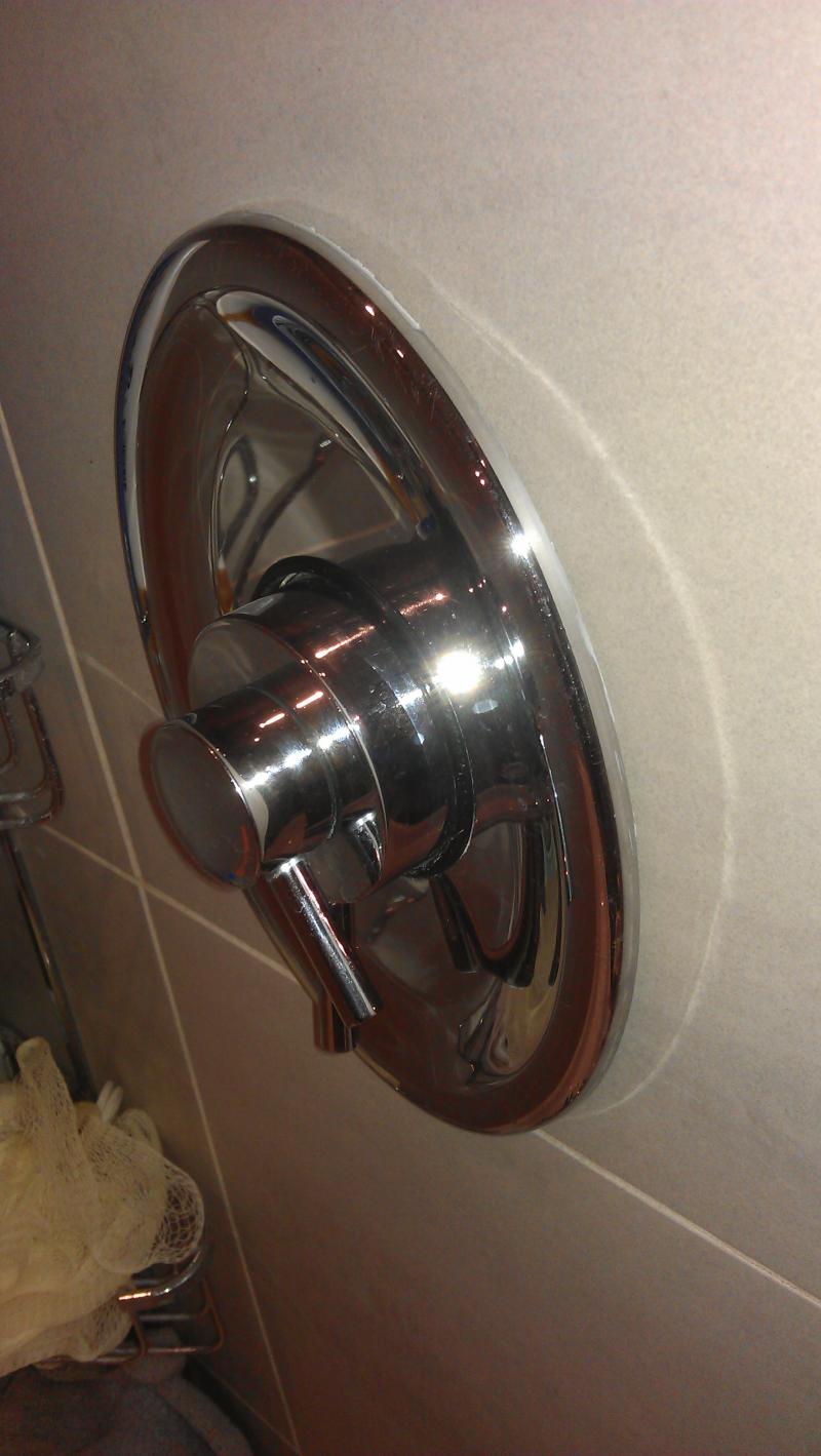 Shower stopped working DIYnot Forums