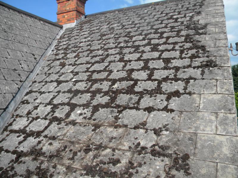 Coating asbestos cement shingles DIYnot Forums