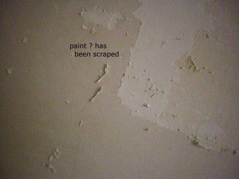 Flaky paint on plasterboard what to do ? DIYnot Forums