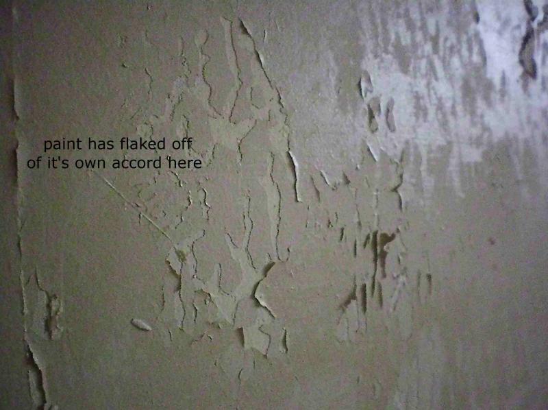 Flaky paint on plasterboard what to do ? DIYnot Forums