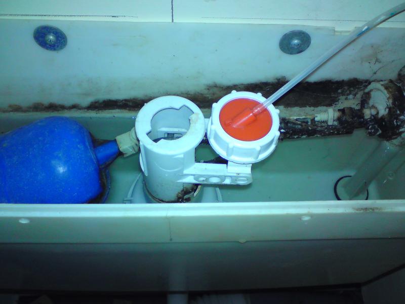 Flush Valve ? DIYnot Forums