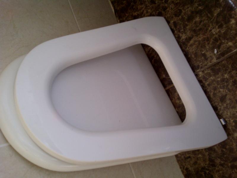 Can't find replacement for this toilet seat. DIYnot Forums