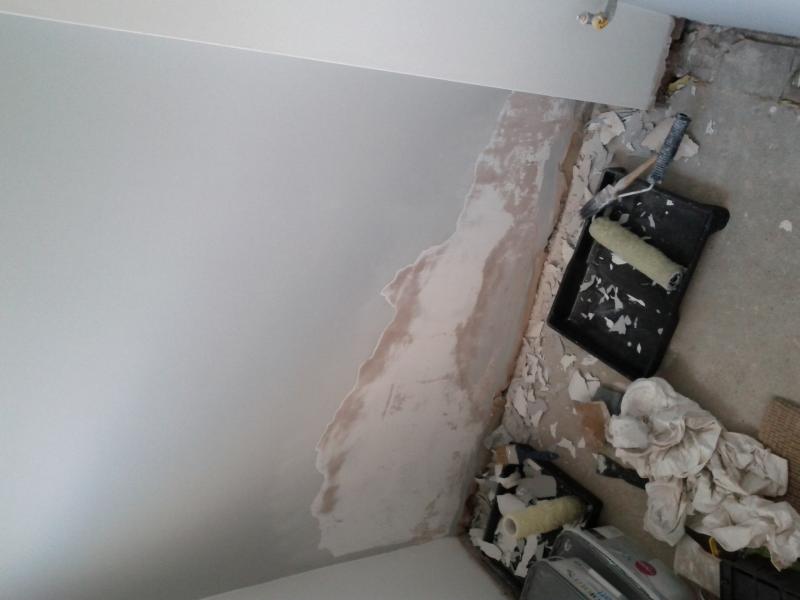Fresh Paint Flaking On Newly Plastered Wall Diynot Forums