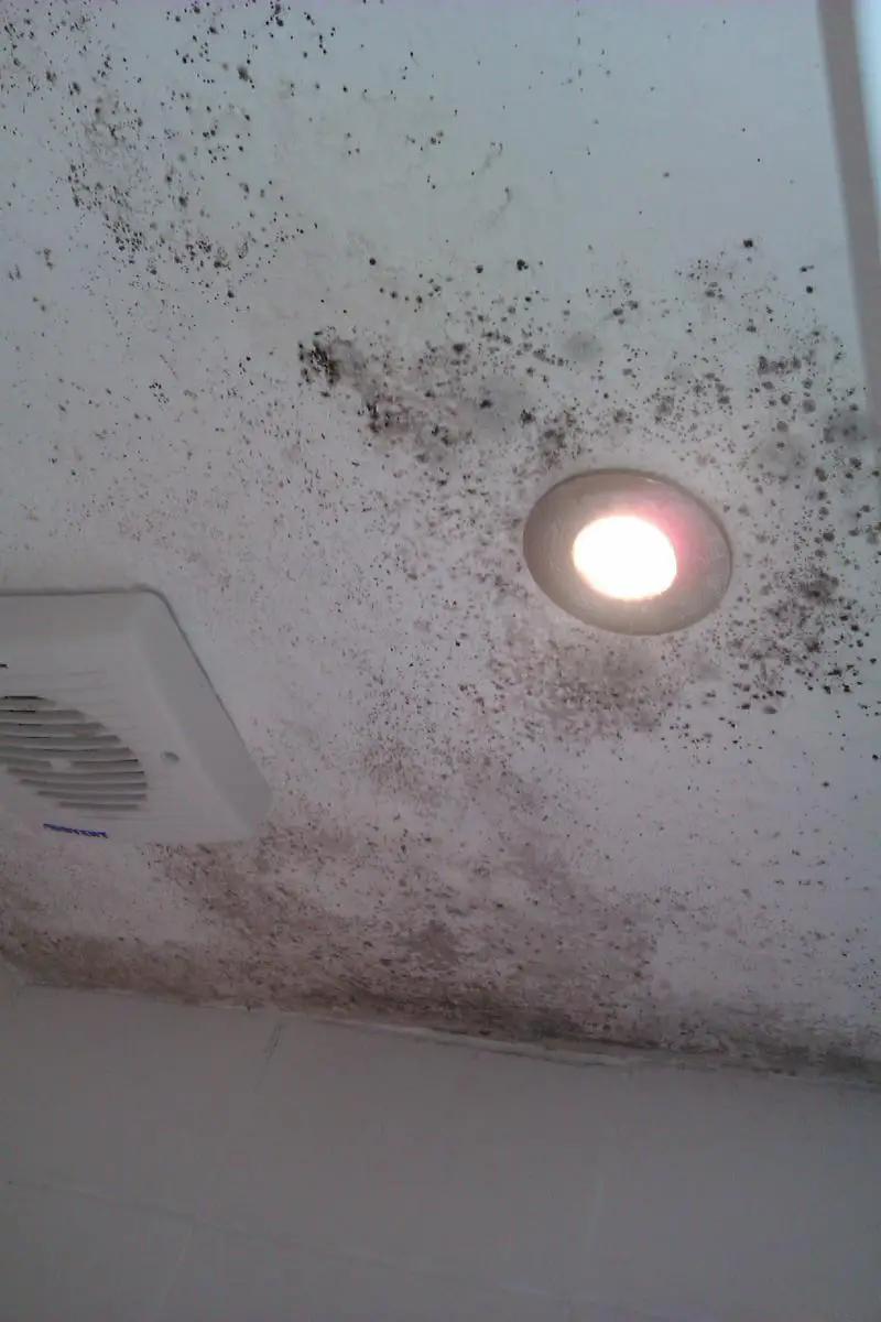 How To Prepare Bathroom Ceiling For Skimming Diynot Forums