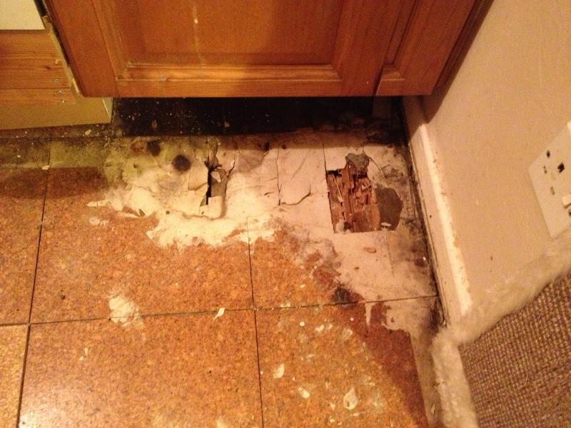 Rotting Floorboards DIYnot Forums