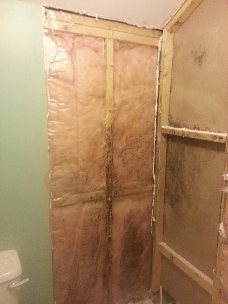 Mold behind a leaky shower in ensuite. DIYnot Forums