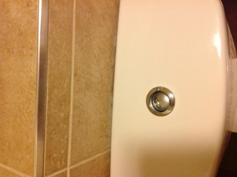 Flush button stuck down DIYnot Forums