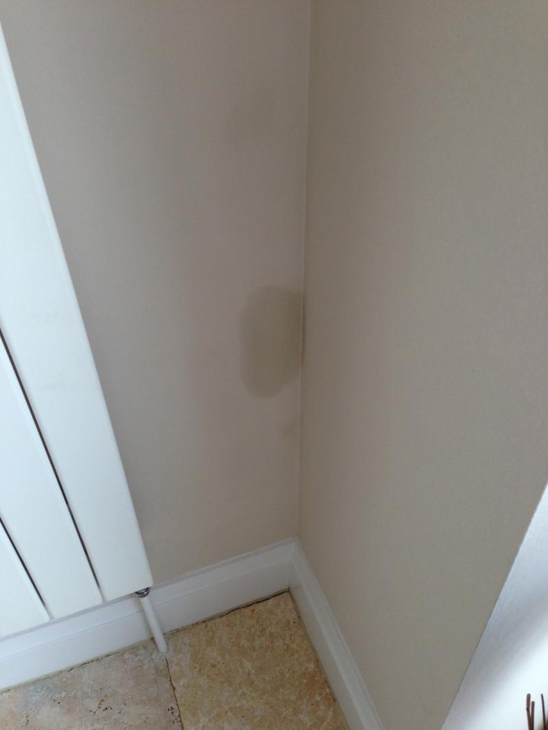 Damp patch on wall?? DIYnot Forums
