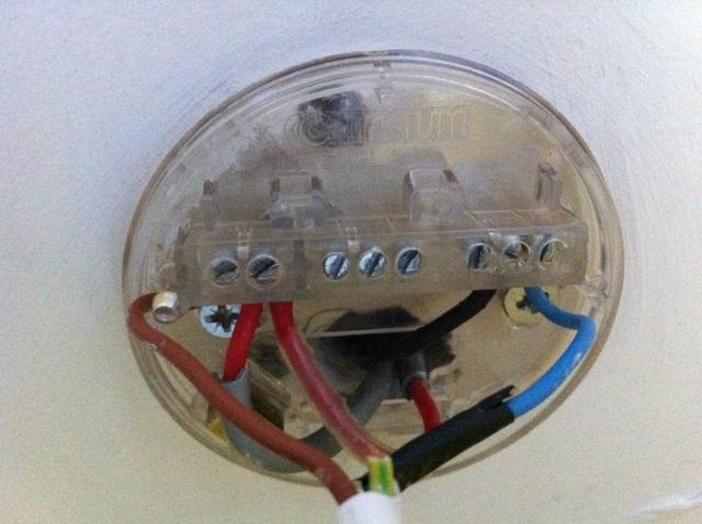 Ceiling Rose Light And Fan Wiring Confusion Diynot Forums - Ceiling Rose Wiring Explained