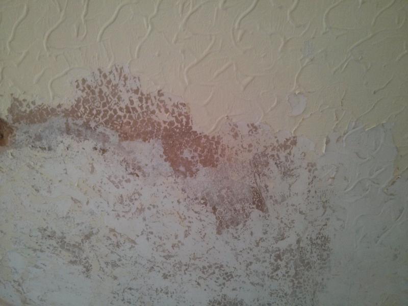 Is this textured paint or artex? DIYnot Forums