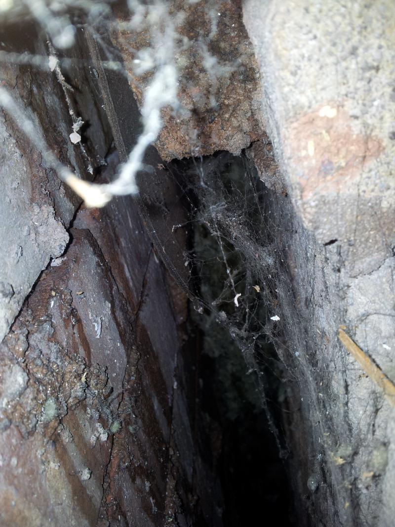 water leaking through new opening in cavity wall? DIYnot Forums